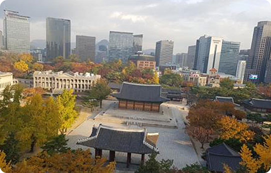 동작구 이미지